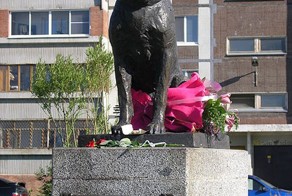 Пес Константин- символ верности из города Тольятти