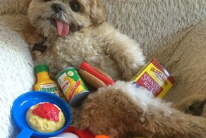  Фотоподборка за 19.09.2014