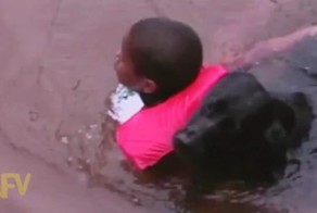 Щенок, который никогда не даст утонуть 