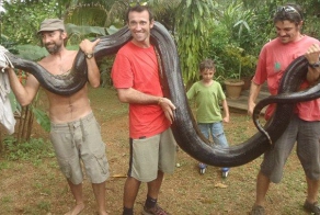 Огромная анаконда