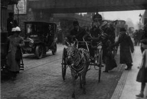 Удивительные старые фотографии