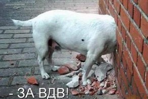 Записки безответственного квартиросъемщика. Часть2