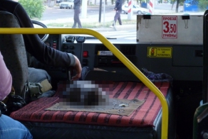 Кондуктор в автобусе)