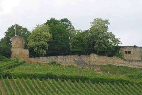 Интересные факты 