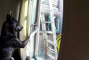 Удрать за 60 секунд