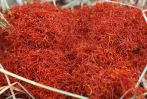 10 самых редких продуктов