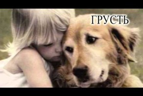 ЭМОЦИИ И ЧУВСТВА