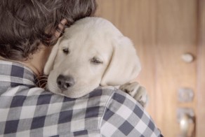 Вас ждут друзья