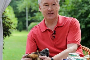 Человеческие страсти Собянина