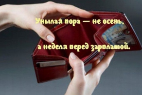 Фишкина солянка за 24.09.2014