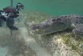 Опасное знакомство