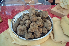 19 самых дорогих субстанций в мире