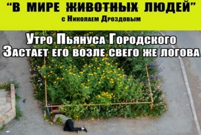 В мире "ЖИВОТНЫХ" людей!