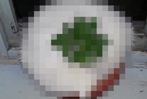 Капитально приучен)