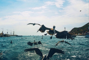 Интересный инстаграм подростков