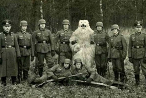 Курьезы, произошедшие во время второй мировой войны (9 фото)