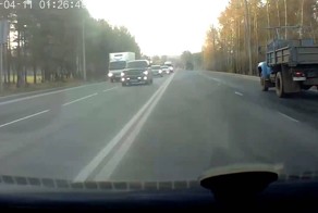 Кто говорил  что коровы не летают?