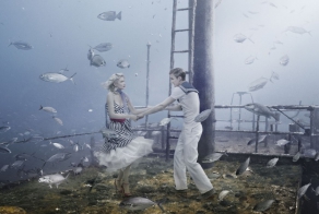 Жизнь на затонувшем корабле