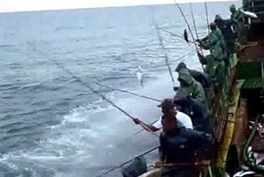 Как промыслово ловят рыбу на Мальдивах