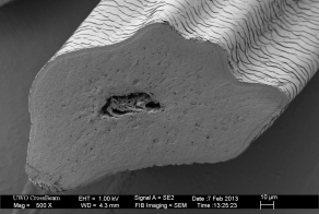 23 обычных предмета под микроскопом