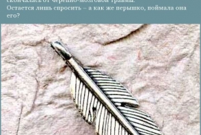 САМЫЕ ГЛУПЫЕ И НЕЛЕПЫЕ СМЕРТИ ЗА ПОСЛЕДНЕЕ ВРЕМЯ