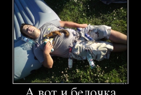 НЕСКОЛЬКО ДЕМОТИВАТОРОВ)))