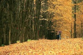 Красота осени