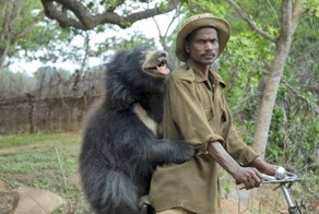 Ручной медвежонок-губач