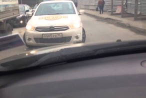 Стадо по встречке