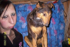 Хозяева и их собаки