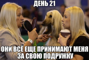 Прикольные картинки)))