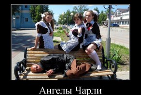 Демотиваторы
