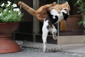 Мгновенная карма