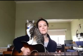 Кот любит песни под гитару