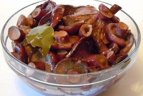 Прекрасная закуска : Соленые грузди