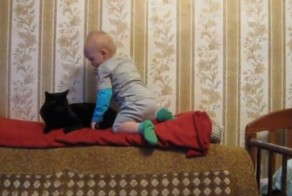 Самый воздержанный кот