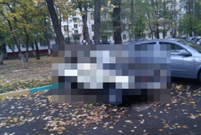 Не догоним так замучаем)
