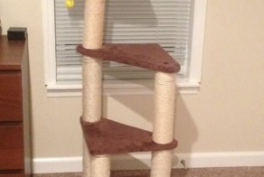 Развлечение для котов своими руками