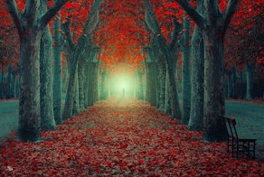 Фотографии тропинок