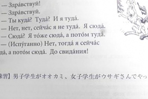 Предложений из иностранных учебников русского языка
