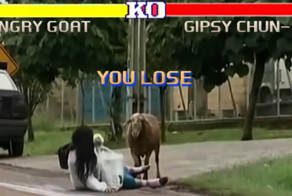 Боевой козел