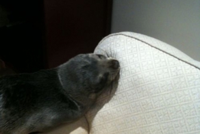 Еще больше намеков