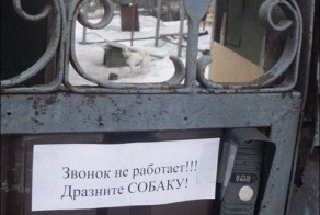Прикольные надписи и объявления