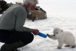Российские военные спасли голодного медвежонка в Арктике