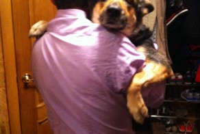 Пара дней в Вене