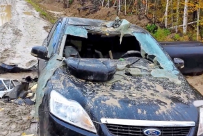 Месть Михаила Потапыча