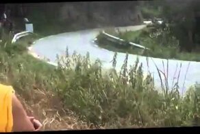 Заяц в гонках