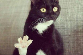 Пост ни о чем