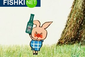 Дикая свинья украла 18 банок пива, нажралась и пьяная напала на корову