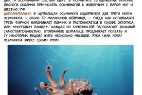 Распространенные заблуждения